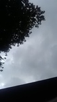 2020083011511901.jpg