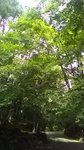 2020090311585301.jpg