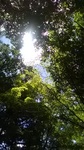 2020090411441101.jpg