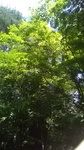 2020090411443901.jpg