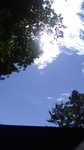 2020090411443101.jpg