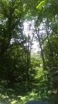 2020090511552001.jpg