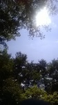 2020090511552801.jpg