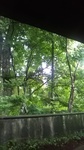 2020090611385501.jpg