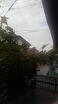 2020090709244101.jpg