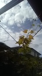 2020091409553401.jpg