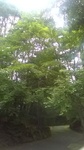 2020091711411701.jpg