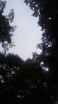 2020091711412001.jpg
