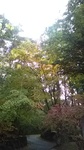 2020101711013601.jpg