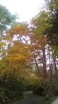 2020102807260501.jpg
