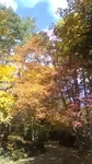 2020102911300701.jpg