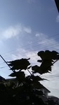 2020111209045301.jpg