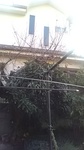 2020111909445901.jpg