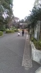 2020112014193001.jpg