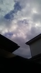 2020112407503001.jpg