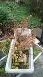 2020112513260301.jpg