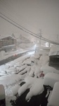 DSC_0112.JPG