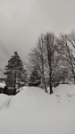 DSC_0335.JPG