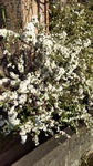 DSC_0479.JPG