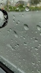 HORIZON_0002_BURST20210616123116463.JPG