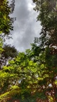 DSC_0974.JPG