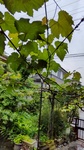 DSC_0980.JPG