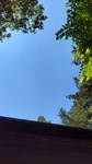 DSC_0983.JPG