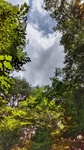 DSC_1036.JPG