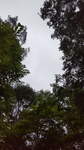 DSC_1049.JPG