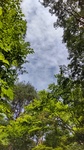 DSC_1051.JPG