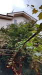 DSC_1057.JPG