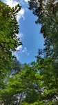 DSC_1038.JPG