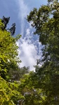 DSC_1072.JPG