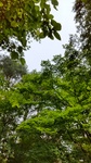 DSC_1041.JPG