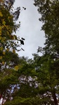 DSC_1102.JPG