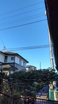 HORIZON_0002_BURST20211020072504729.JPG