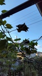 HORIZON_0002_BURST20211104071235907.JPG