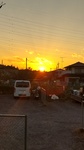 DSC_1267.JPG