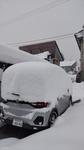DSC_1425.JPG