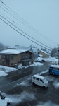 DSC_1514.JPG