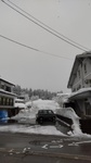 DSC_1596.JPG
