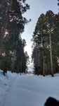 DSC_1824.JPG
