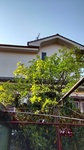 DSC_2099.JPG
