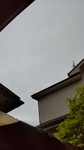 DSC_2199.JPG