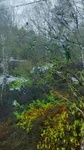 DSC_2225.JPG