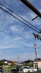 DSC_2246.JPG