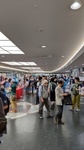 DSC_2350.JPG