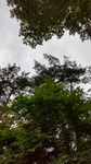 DSC_2382.JPG