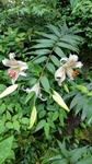 DSC_2424.JPG
