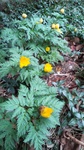 DSC_3258.JPG